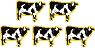 Tucows 5 Golden Cows Rating
