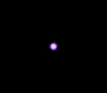 An Atom Blooms, by Steven Webb, zoom level -16