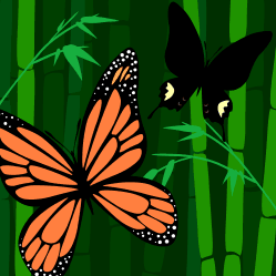 Butterfly World, by Lizzie Nguyen
