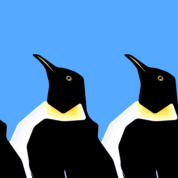 Reflected Penguin, by Jill Sluka